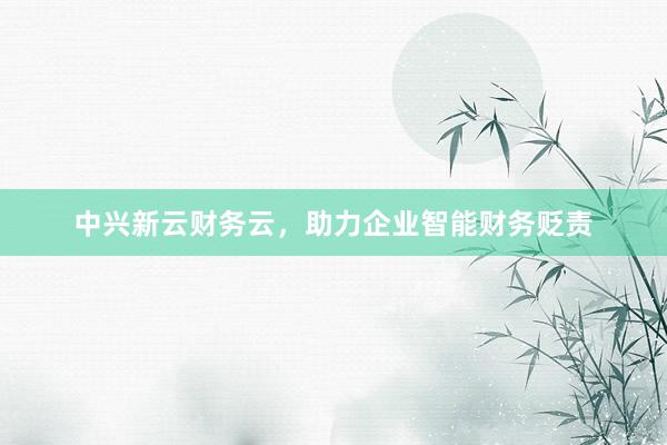 中兴新云财务云，助力企业智能财务贬责